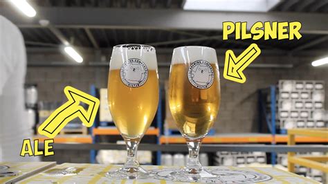 pilsner vs pale ale malt.